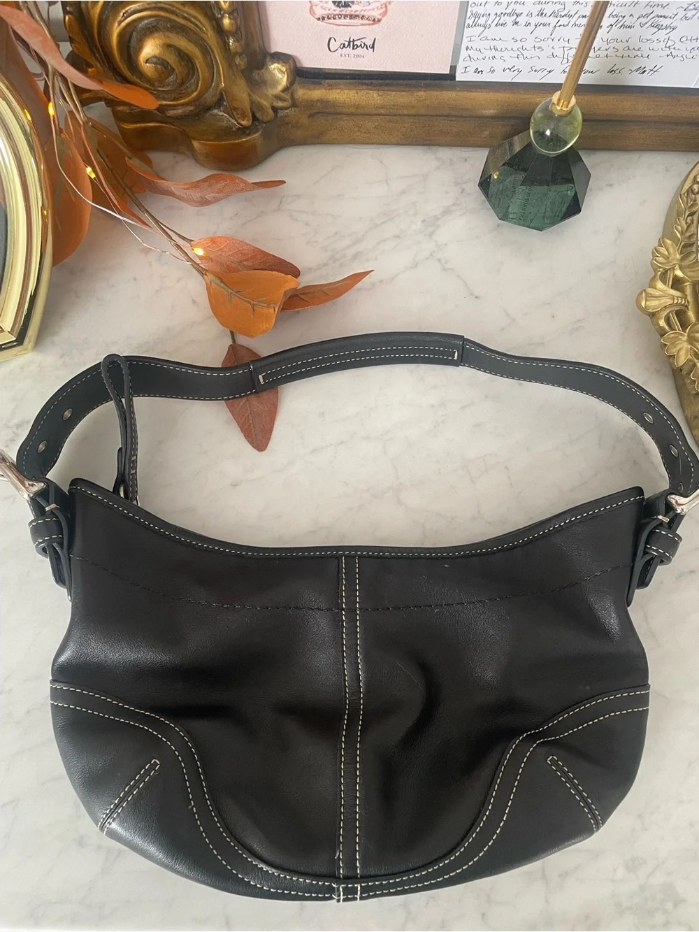 Coach Soho Hobo Bag, Mini, 9541